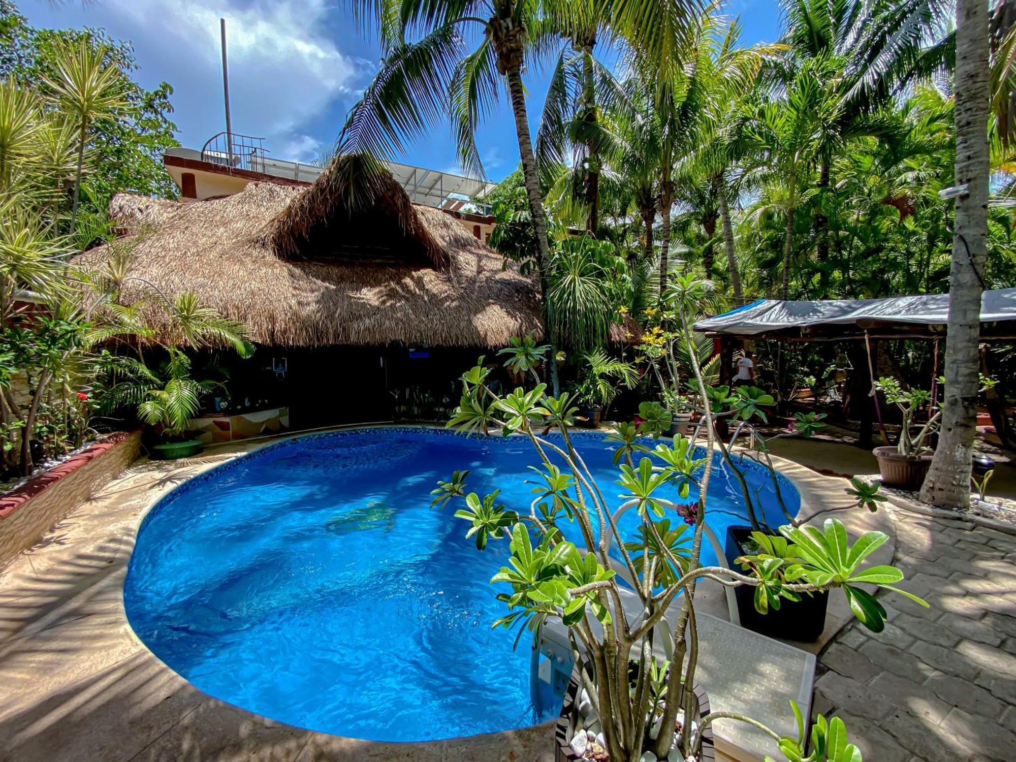Cocos Cabanas Playa Del Carmen Adults Only Eksteriør bilde