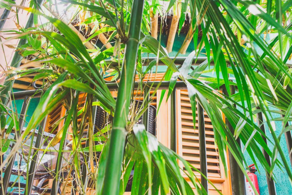 Cocos Cabanas Playa Del Carmen Adults Only Eksteriør bilde