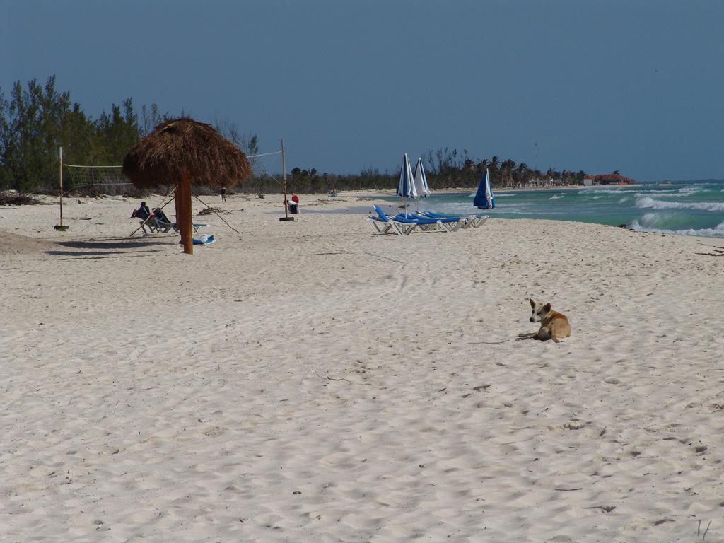 Cocos Cabanas Playa Del Carmen Adults Only Eksteriør bilde